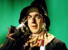 Scarecrow-From-The-Wizard-of-Oz-the-wizard-of-oz-3621676-262-193.jpg