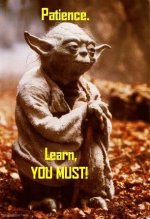 patience_yoda-23672.jpg