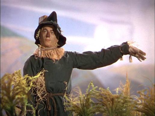 scarecrow.jpg