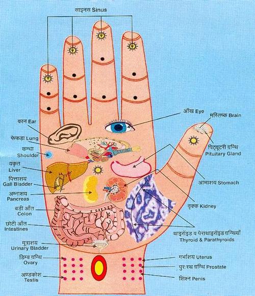 1337162736Martial%20Art%20Acupressure.jpg