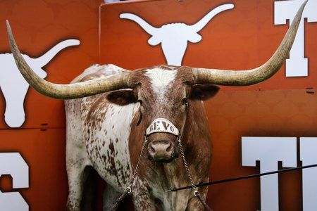 0dd920213ae39a70f8d70adaad4e77c7--university-of-texas-texas-longhorns.jpg